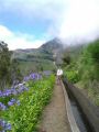 Madeira0892.JPG
